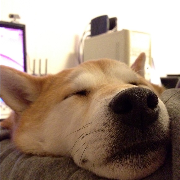 Meet your Posher, Mark - Picture 1 of 1